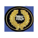Insignia US Hat Officer Staff Badge
