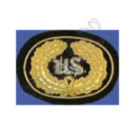 Insignia Hat Cap Officer US Medical Staff Badge