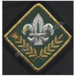 Blazer Badges