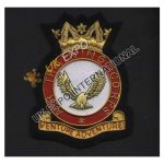 Blazer Badges