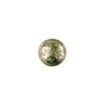 Texas Star Brass Button, Double piece
