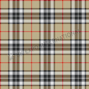 Camel Thompson Tartan No 66