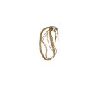 Gold Aiguillettes