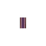 Military Recruit Service Ribbon