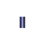 Army Recruiting Ribbon