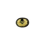 Embroidered Insignia for US  CS