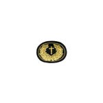 Embroidered Insignia for US  CS