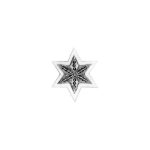 Embroidered Insignia for US  CS