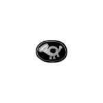 Embroidered Insignia for US  CS