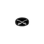 Embroidered Insignia for US  CS