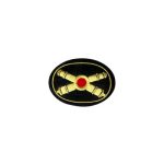 Embroidered Insignia for US  CS