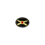Embroidered Insignia for US  CS