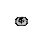 Embroidered Insignia for US  CS