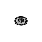 Embroidered Insignia for US  CS