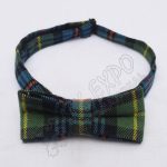 Flower of Scotland Tartan Bow Tie