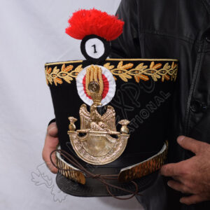 Shako senior officer of the young guard