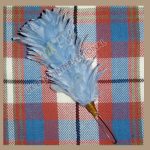 Sky Blue Color Hackle