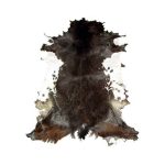 Black and Brown Leather Goat Skin