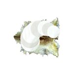 Round Shape Cow Leather Skin