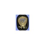 Jeff Davis Hardee Hat Insignia