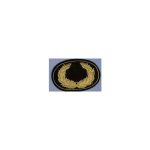 19th Police Blank Gold Embroidered Hat Insignia