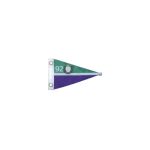 92 Vintage Sports Pennants Flag