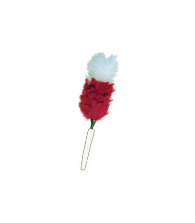White And Maroon Plumes Hackle