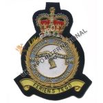 Squadron Badges