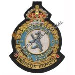 Squadron Badges