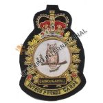 Squadron Badges
