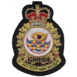 Squadron Badges