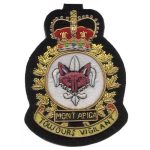 Squadron Badges