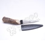 Stag Handle Stainless Steel Blade With Celtic Leather Sheath