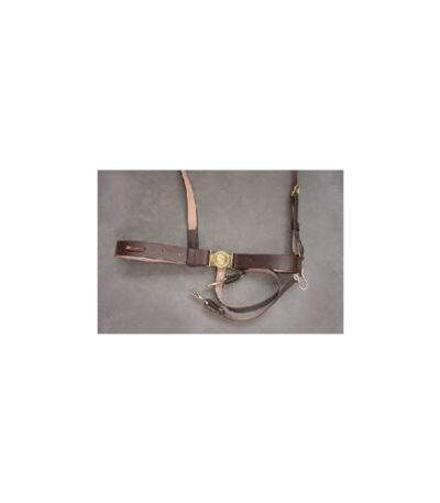 Confederate Midwar Sword Leather Belt