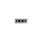 US Lieutenant General Shoulder Straps