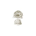 US Civil War Brass Hat Badges