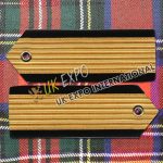 Velvet Gold Braided Shoulders / Epaulette