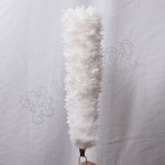 Cream Color Feathers Hackle